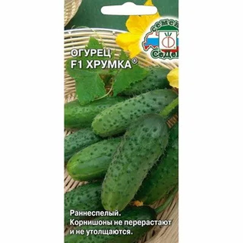 Огурец ХРУМКА F1 0,3гр. (СеДек)