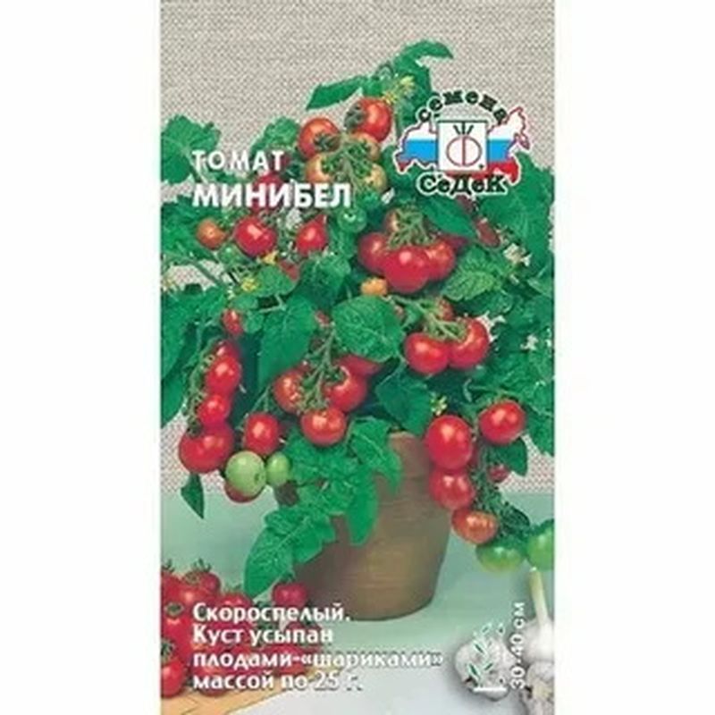 Томат МИНИБЕЛ 0,1г. (СеДек)