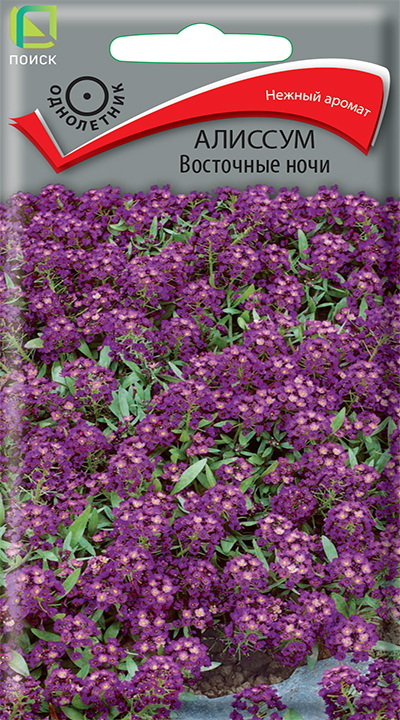 Алиссум ВОСТОЧНЫЕ НОЧИ 0,3гр. (Поиск)