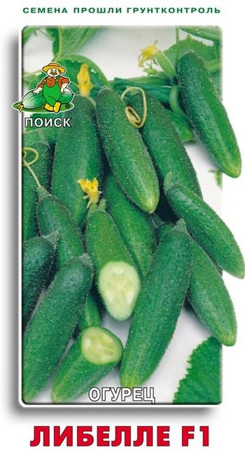 Огурец ЛИБЕЛЛЕ F1 12шт. (Поиск)