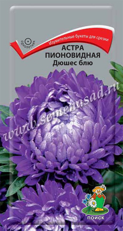 Астра Пионовидная ДЮШЕС блю 0,3гр. (Поиск)