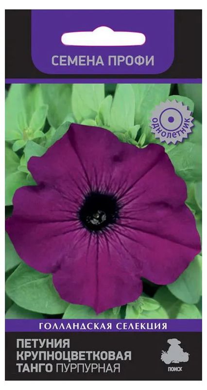 Петуния крупноцветковая (грандифлора) ТАНГО ПУРПУРНАЯ 15шт. (Поиск)