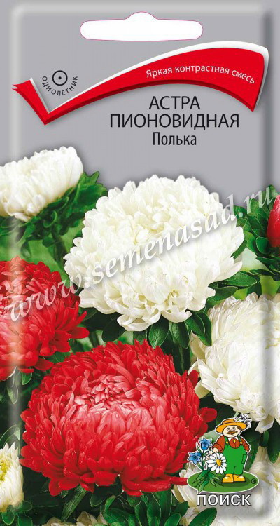 Астра Пионовидная ПОЛЬКА 0,3гр. (Поиск)