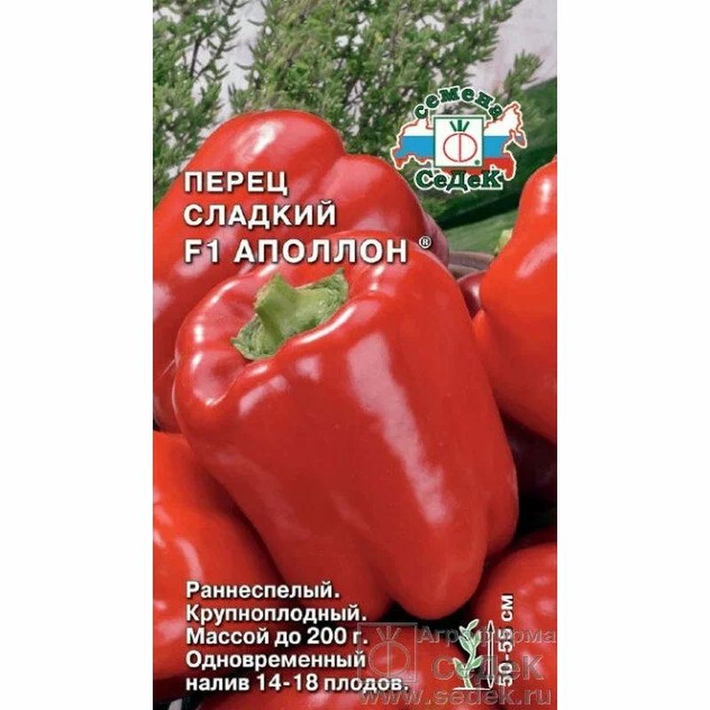 Перец сладкий АПОЛЛОН F1 0,1г. (СеДек)