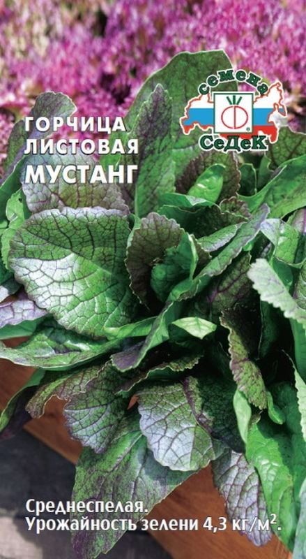Горчица МУСТАНГ (листовая сарепская) 1,0г. (СеДек)