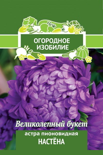 Астра Пионовидная НАСТЕНА 0,3гр. (Огородное изобилие) (Поиск)