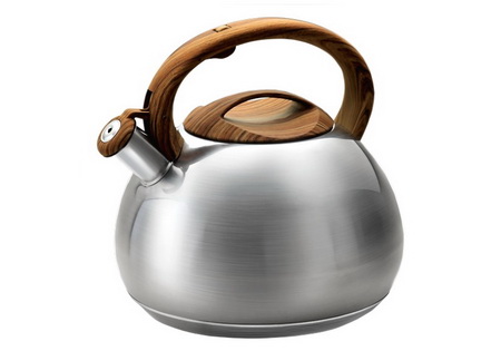 Чайник нерж. LARA LR00-78 4,5л. со свист.