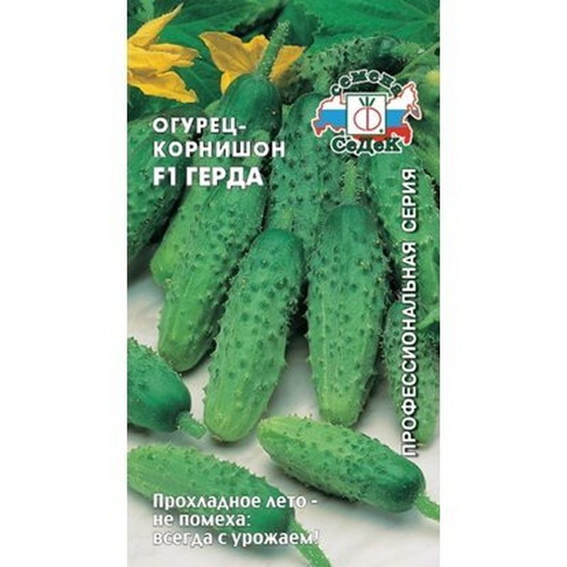 Огурец ГЕРДА F1 0,3гр. (СеДек)