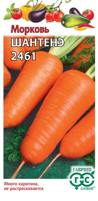 Морковь ШАНТЕНЭ 2461 2,0г. (Гавриш)