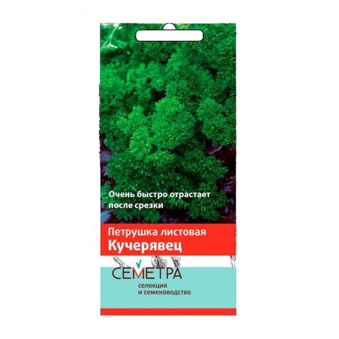 Петрушка КУЧЕРЯВЕЦ 3,0гр. (Семетра) (Поиск)
