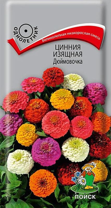 Цинния изящная ДЮЙМОВОЧКА 0,4гр. (Поиск)