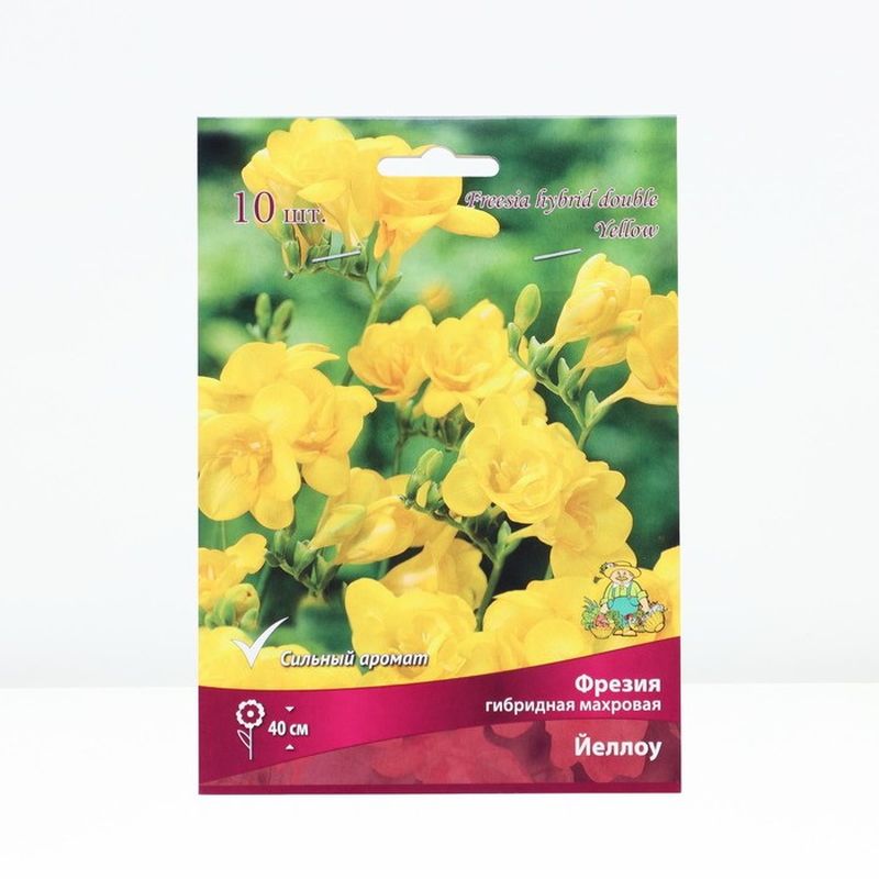 Фрезия гибридная махровая Йеллоу 10шт. Поиск