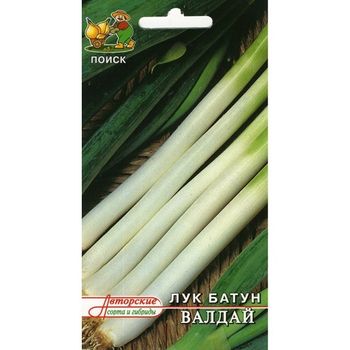 Лук батун ВАЛДАЙ 1,0гр. (Поиск)