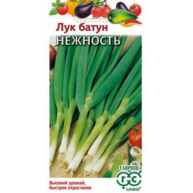 Лук батун НЕЖНОСТЬ 0,5г. (Гавриш)
