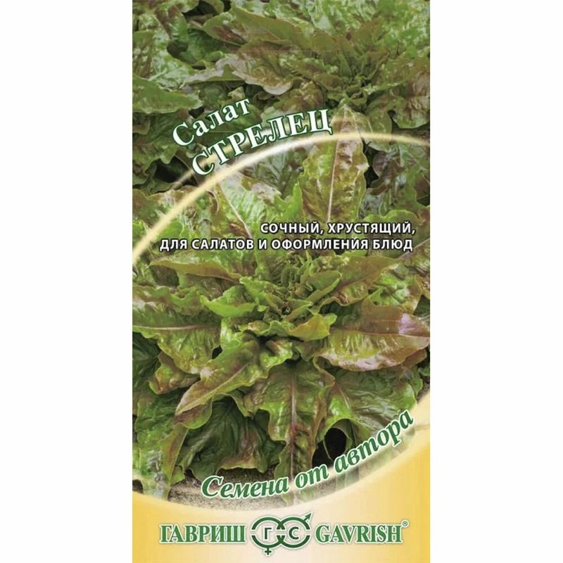 Салат СТРЕЛЕЦ, 0,5г. красный (Гавриш)