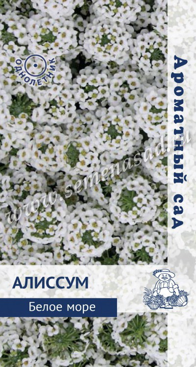 Алиссум БЕЛОЕ МОРЕ 0,3гр. (Поиск)