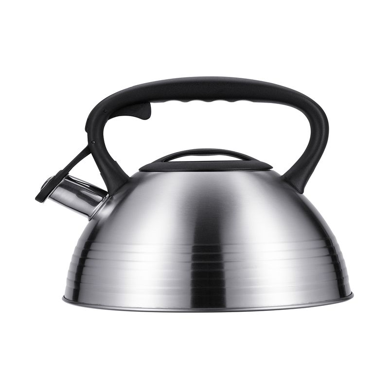 Чайник нерж. 86-108 3,0л. со свист. TEA