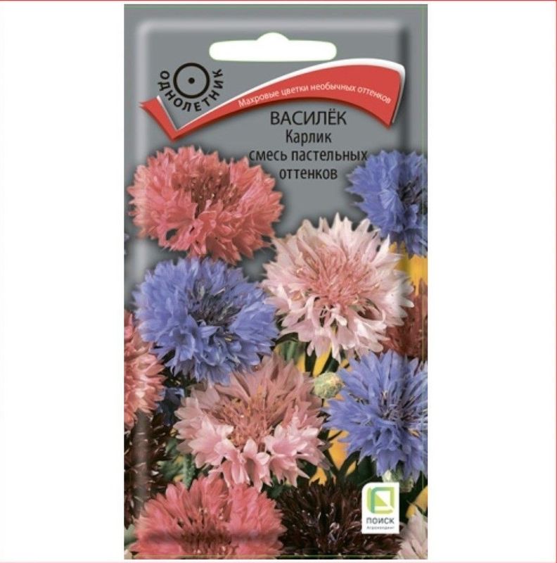 Василёк КАРЛИК смесь пастельных оттенков 0,1гр. (Поиск)