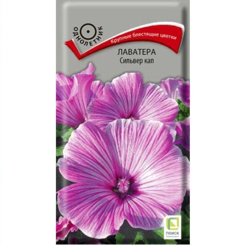 Лаватера СИЛЬВЕР КАП 0,3гр. (Поиск)