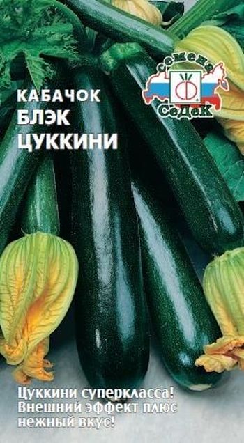 Кабачок БЛЭК ЦУККИНИ 2,0гр. (СеДек)