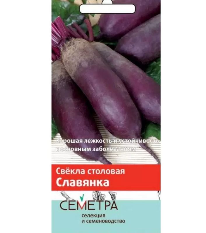Свекла СЛАВЯНКА 3,0гр. (Семетра) (Поиск)