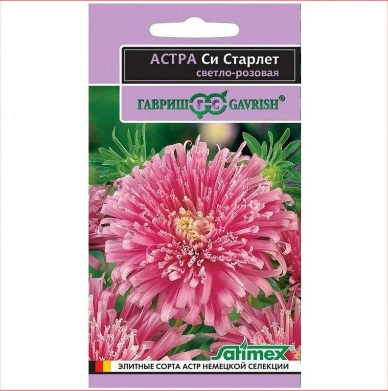 Астра СИ СТАРЛЕТ светло-розовая 0,05г. (Гавриш)