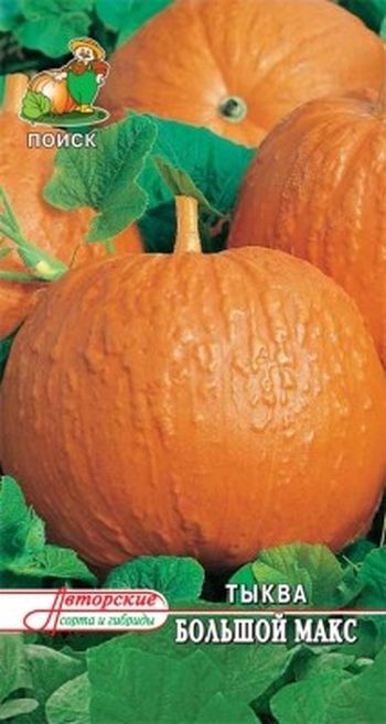 Тыква БОЛЬШОЙ МАКС крупноплодная 10шт. (Поиск)