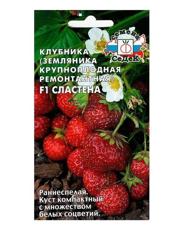 Земляника СЛАСТЕНА F1 15шт. (ремонтантная, крупноплодная) (СеДек)