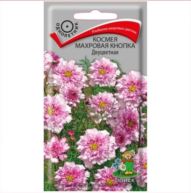 Космея Махровая КНОПКА Двуцветная 0,1гр. (Поиск)
