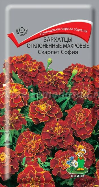 Бархатцы отклоненные махровые СКАРЛЕТ СОФИЯ 0,4гр. (Поиск)