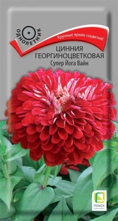 Цинния георгиноцветковая СУПЕР ЙОГА  ВАЙН 0,4гр. (Поиск)