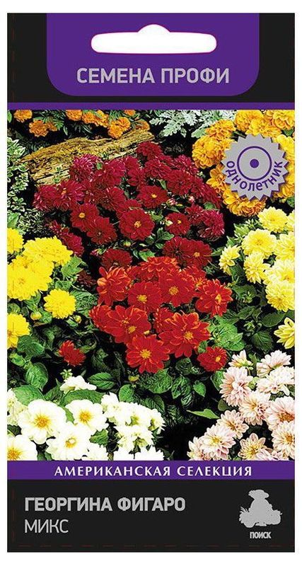 Георгина ФИГАРО МИКС  10шт. (Поиск)