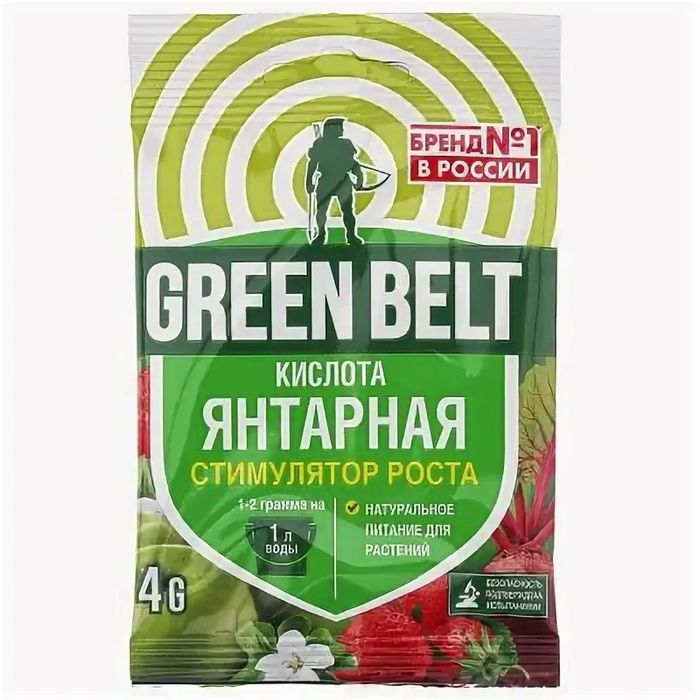 Янтарная кислота 4,0г. 01-248 GB (ТЭ)