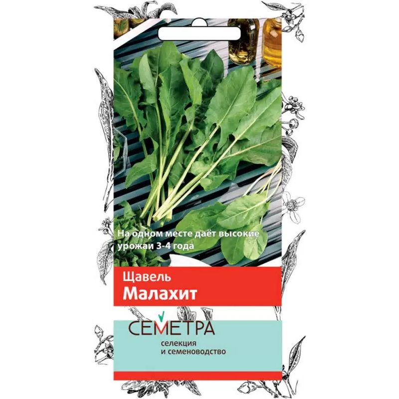 Щавель МАЛАХИТ 1,0гр. (Семетра) (Поиск)