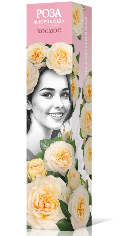 Роза флорибунда КОСМОС Садовита