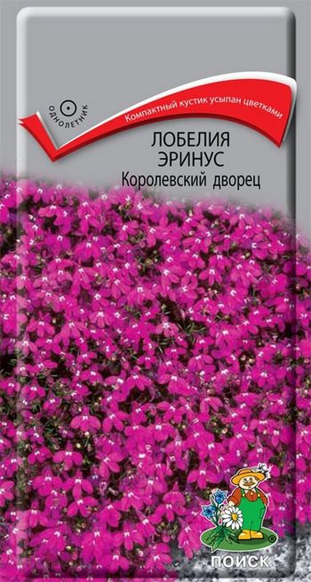Лобелия эринус КОРОЛЕВСКИЙ ДВОРЕЦ 0,1гр. (Поиск)
