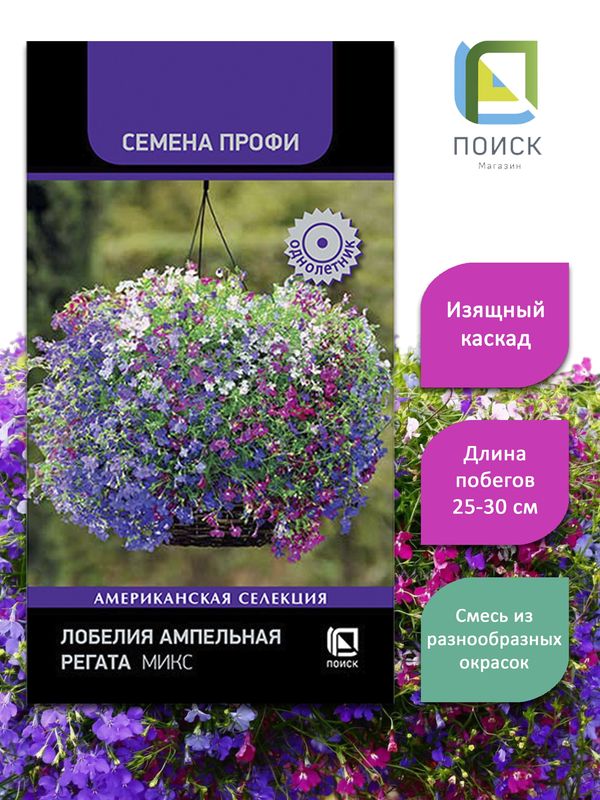 Лобелия ампельная РЕГАТА МИКС  10шт. (Поиск)