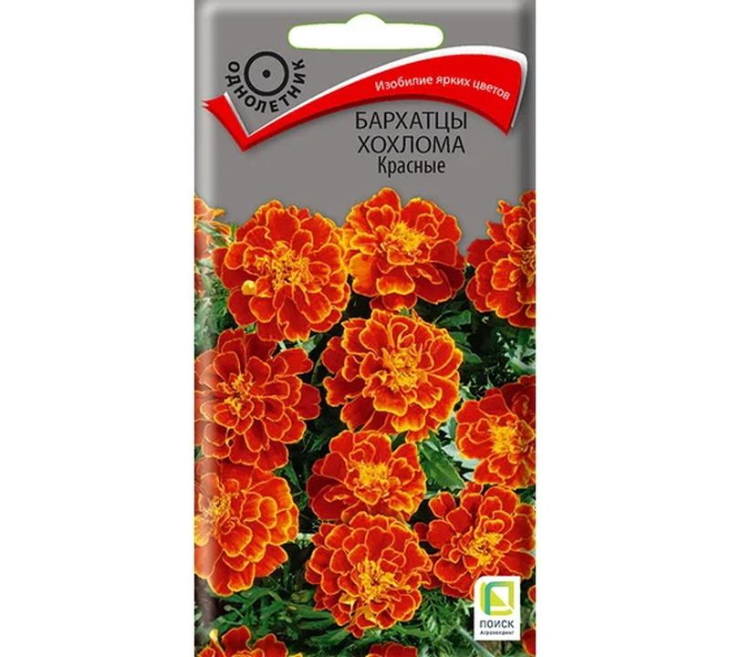 Бархатцы ХОХЛОМА красные 0,4гр. (Поиск)