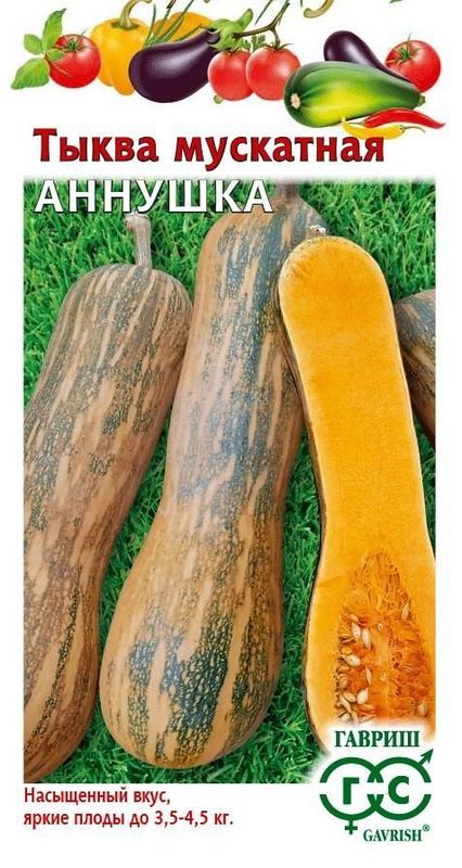 Тыква АННУШКА, мускатная 1,0г. (Гавриш)