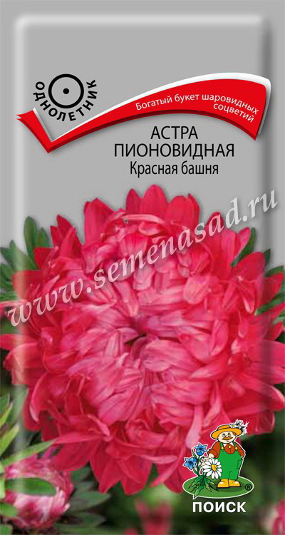 Астра Пионовидная КРАСНАЯ БАШНЯ 0,3гр. (Поиск)