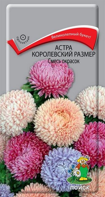 Астра КОРОЛЕВСКИЙ РАЗМЕР Смесь окрасок 0,1гр. (Поиск)