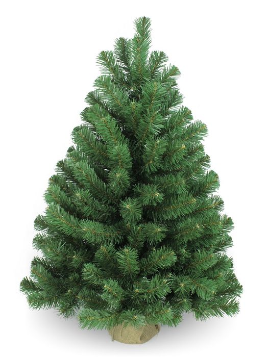 Ель "ФЕЯ" 0,9м. 1011409 с шишками (в мешке) Ель "ФЕЯ" 0,9м. 1011409 с шишками (в мешке)