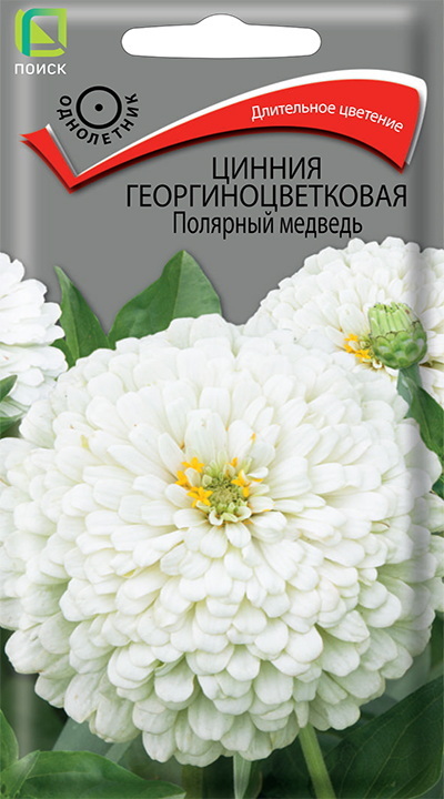 Цинния георгиноцветковая ПОЛЯРНЫЙ МЕДВЕДЬ 0,4гр. (Огородное изобилие) (Поиск) Цинния георгиноцветковая ПОЛЯРНЫЙ МЕДВЕДЬ 0,4гр. (Огородное изобилие) (Поиск)