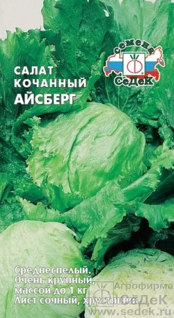 Салат АЙСБЕРГ 0,5гр. (СеДек)