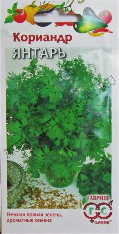 Кориандр ЯНТАРЬ 2,0г. (Гавриш)