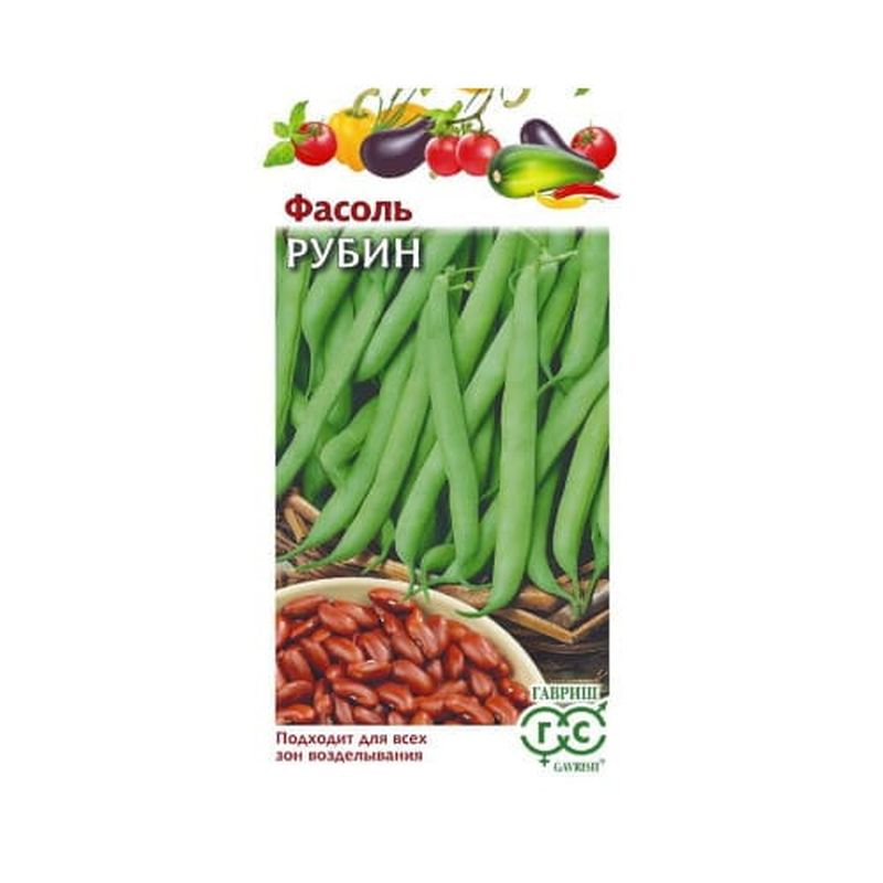 Фасоль РУБИН, кустовая, зеленая 5г. (Гавриш)