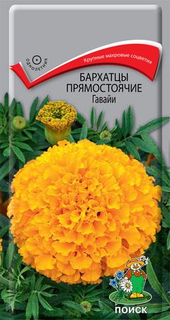 Бархатцы прямостоячие ГАВАЙИ 0,4гр. (Поиск)