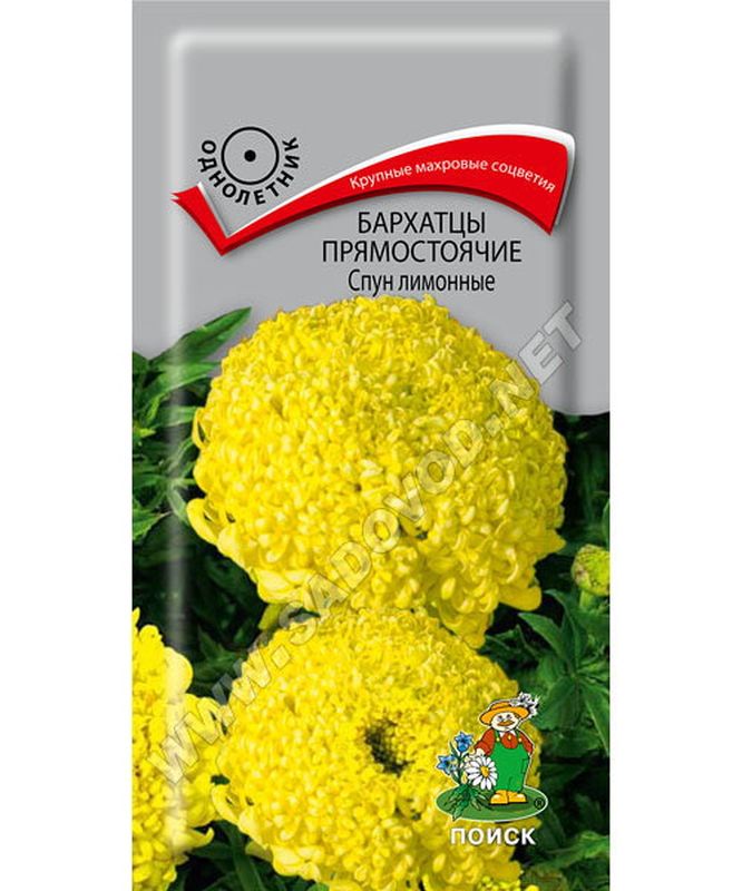Бархатцы прямостоячие СПУН лимонные 0,1гр. (Поиск)