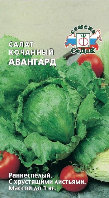 Салат АВАНГАРД кочанный 0,5г. (СеДек)