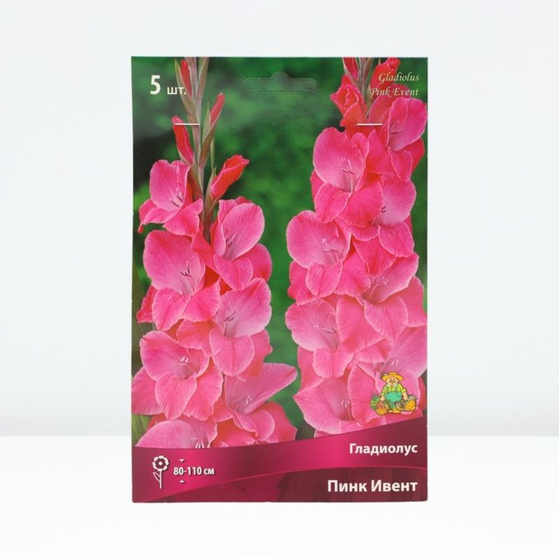 Гладиолус ПИНК ИВЕНТ 5шт. Поиск